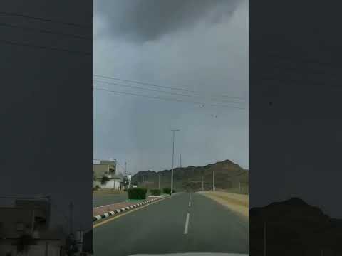 هاشتاق بسم الله عليك الله اكبر ما شاء الله غزال