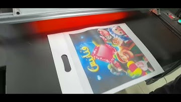 Non woven fabric bags use single pass digital printer to print color patterns