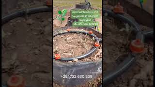 Vertical Conical Garden