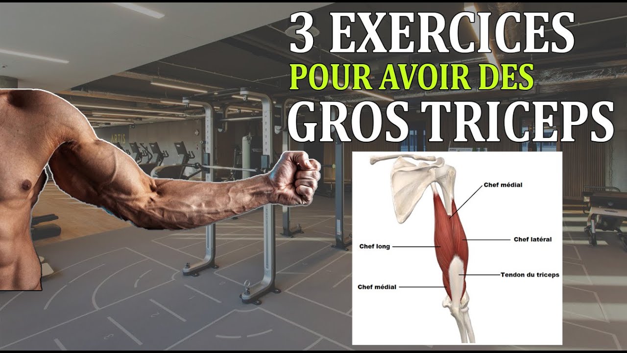 Comment avoir de gros TRICEPS? 3 EXERCICES BASIQUE & OBLIGATOIRE 🤔💪🏼