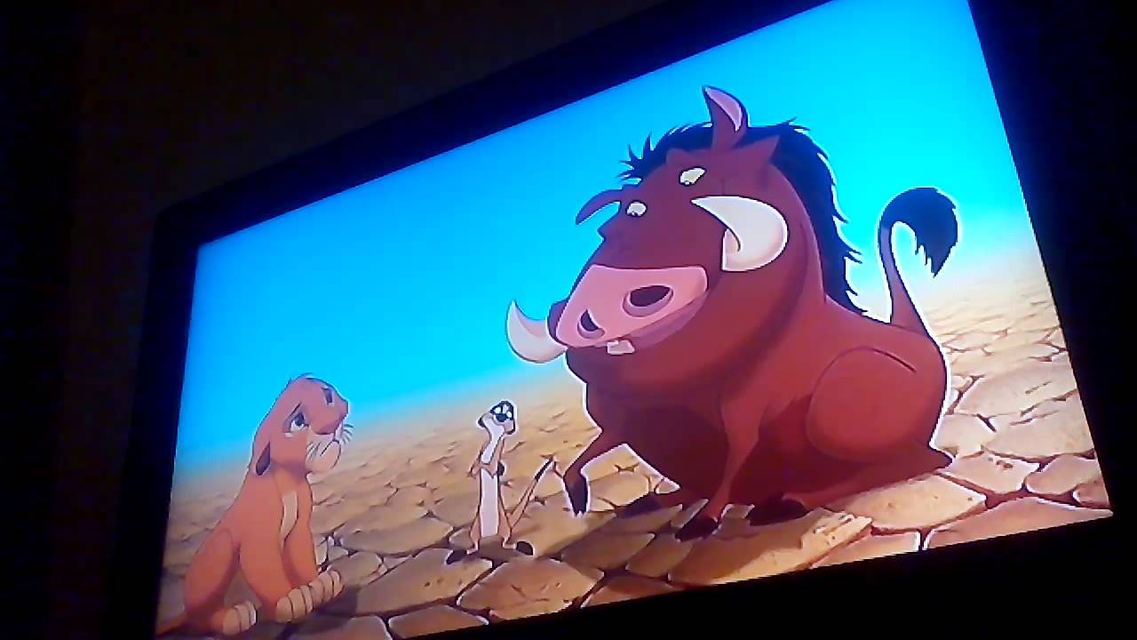 Pumbaa Timon find Simba go to see you can sleeping YouTube