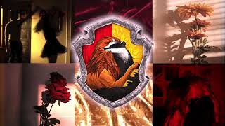 pov: you&#39;re in a Gryffindor Hufflepuff relationship