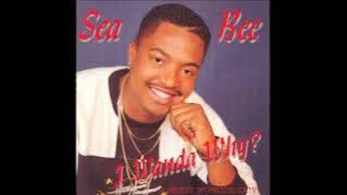 Sea Bee - Home Boy (1994) #waarwasjy