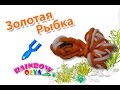 ЗОЛОТАЯ РЫБКА из резинок на рогатке. Фигурка из резинок | GoldFish Rainbow Loom