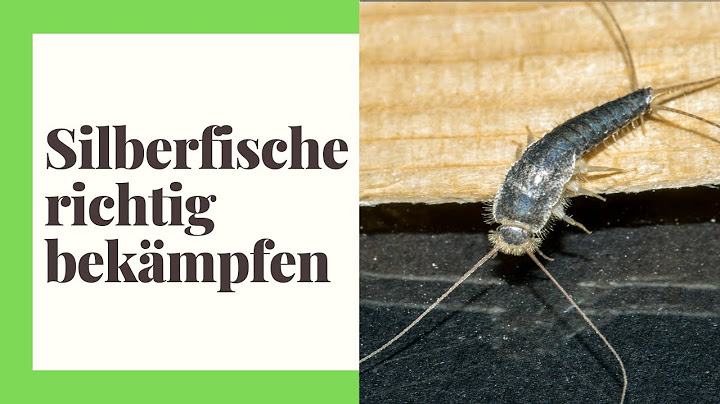 Fighting silverfish - How to get rid of silverfish easily (practical tips)