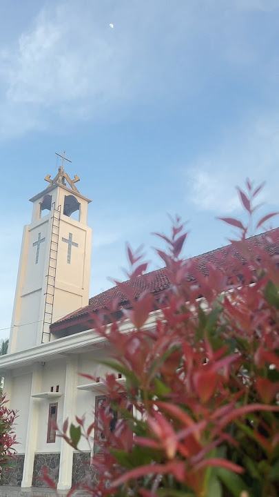 Download lagu Under your protection #lifemission #peace #catholic #prayer #peace #catholicchurch