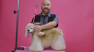 American Cocker Spaniel Grooming Tips w/ Jonathan David