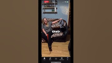 PART THREE ON BOT BUSTERS #bots #freeschlep #schlep