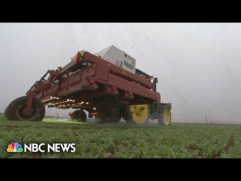 AI meets agriculture with new farm machines to kill weeds and harvest crops