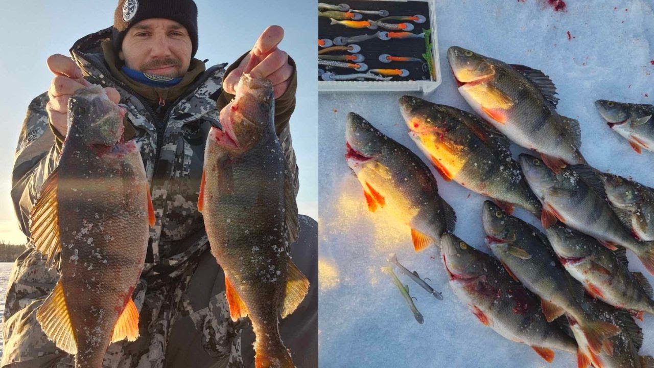 PILKILLÄ | ISOA AHVENTA JA VINKKEJÄ PILKINTÄÄN!