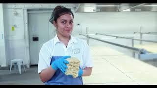 Download lagu Hodo - Always Plant Based. Always Delicious