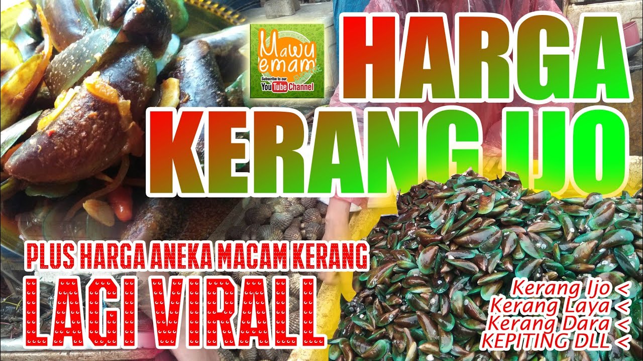 Harga Kerang Ijo Terbaru Yg Lagi Ngehitz Seger Banget Beli Langsung Di Pasar Youtube