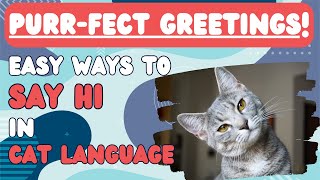 Purrfect Greetings! Easy Ways to Say 'Hi' in Cat Language