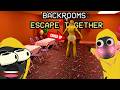 Sharing some Backroom's Cake with Bro (No Kissing) | Escape the Backrooms