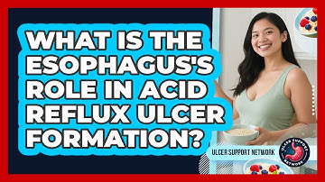 What Is The Esophagus