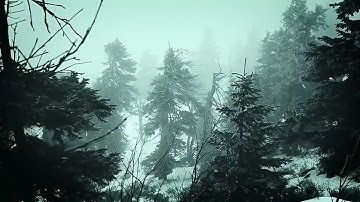 مقطع قران الكريم صوت العاصفه 🌧🌧  راحه نفسيه 🌧🎧🌧🎧🎧🎧
