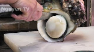 Amazing Fastest Live Fish Cutting Skills in Fish Market 2019 - Fish Clean and Fillet 02