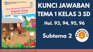 Kunci Jawaban Kelas 3 SD Tema 1 Halaman 93, 94, 95, dan 96