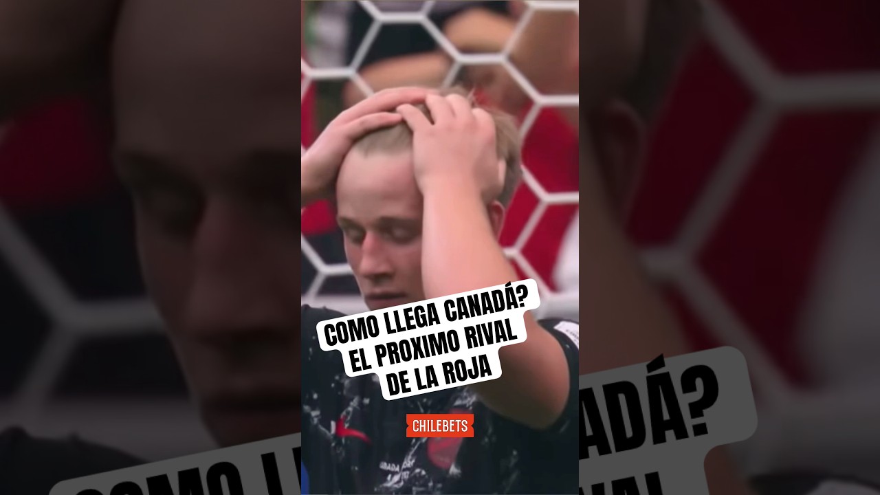 Como crees que le irá al equipo de Nicolas[...]