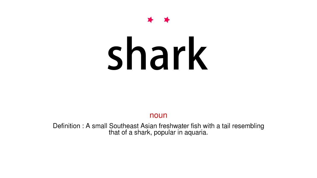 How to pronounce shark - Vocab Today - YouTube