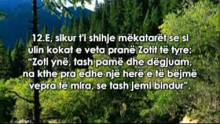 Mishary Alafasy-Surja Sexhde(me titra shqip)