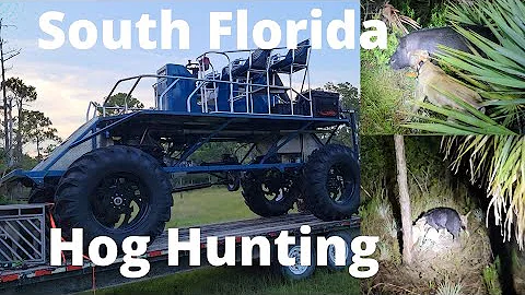 Hog Hunting • Swamp Buggy • Dogs • South Florida Style