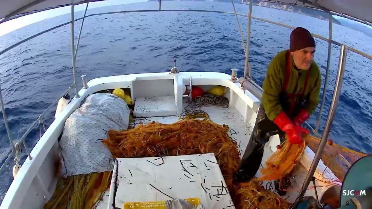 Ψάρεμα σουπιάς!! fishing cuttlefish!!
