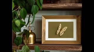 Vintage Butterfly Art