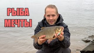 Рыбалка 2019! Вот это ЯЗЬ! Рыба Моей МЕЧТЫ!