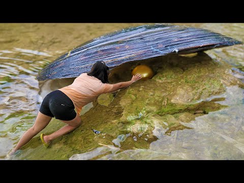 Lucky Pearl Girl Unexpectedly Discovered the Millennium Golden Pearl King in a Dried River