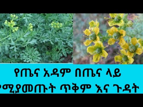 ቪዲዮ: የክብር 20 Pro ሁሉም ጥቅሞች እና ጉዳቶች