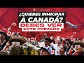 Quieres inmigrar a canad  debes ver esto primero