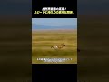 自然界最速の真実! スピードと持久力の意外な関係!#野生動物#進化論#スピード対決