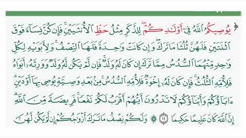 من سورة النساء ـ آيات الميراث ـ ياسر الدوسري