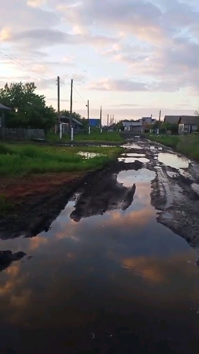 Зимой и летом, одним цветом...#ско - YouTube