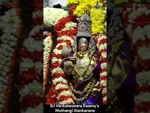 Sri Malayappa Swamy Pearl Kavacham Darshan | Annual Jyeshtabhishekam 2026 | Tirumala