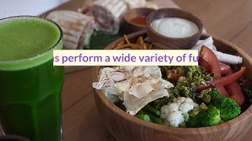 The Building Blocks of Life : Understanding Cells and their Components by Exploring Science