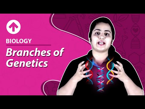 Branches of Genetics | Biology