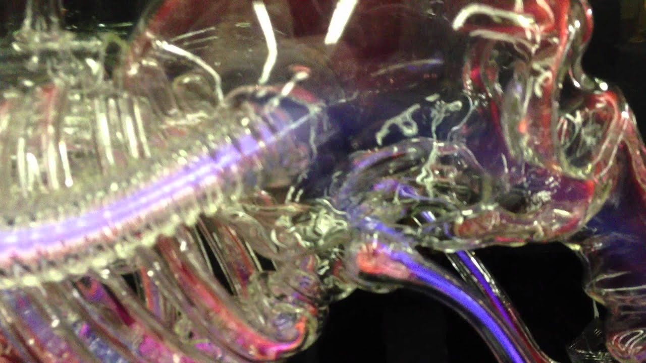 Cannabis Cup 2011 - RooR