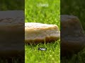 Parah! Benda-Benda Aneh Dilemparkan Fans Rosenborg Saat Laga vs Lillestrom