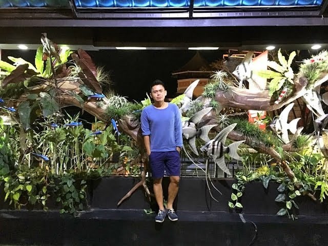 Tips cara membuat taman “roof garden”  dan tillandsia