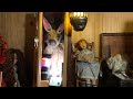 フランスから来た悪魔の宿る人形と人間の歯と髪の毛を使用して作られた悪魔の宿る人形