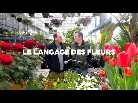 Les Frères Taloche - Le langage des fleurs