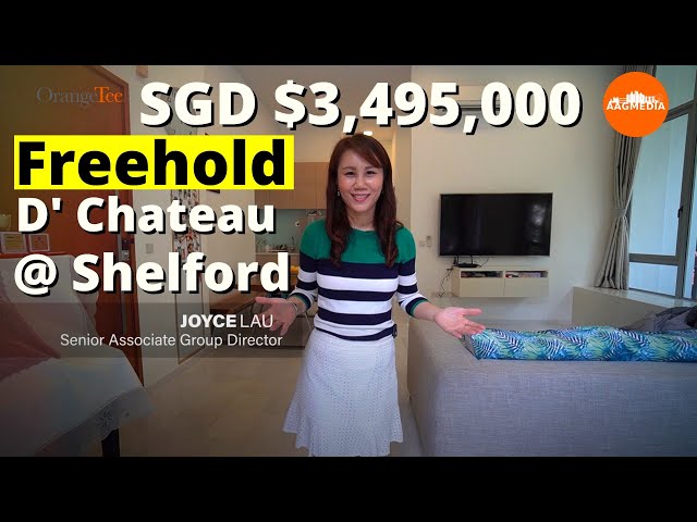 Singapore Condo Property 𝘾𝙊𝙉𝘿𝙊 Home Tour - D' Chateau @ Shelford.  For Sale. class=