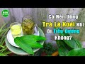 🍀Uống Trà Lá Xoài Trị Tiểu Đường Thì Nhất Định Phải Biết Điều Này | SỨC KHOE