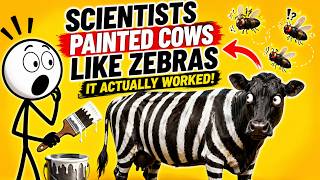 Scientists Painted Cows Like Zebras — It Actually Worked
