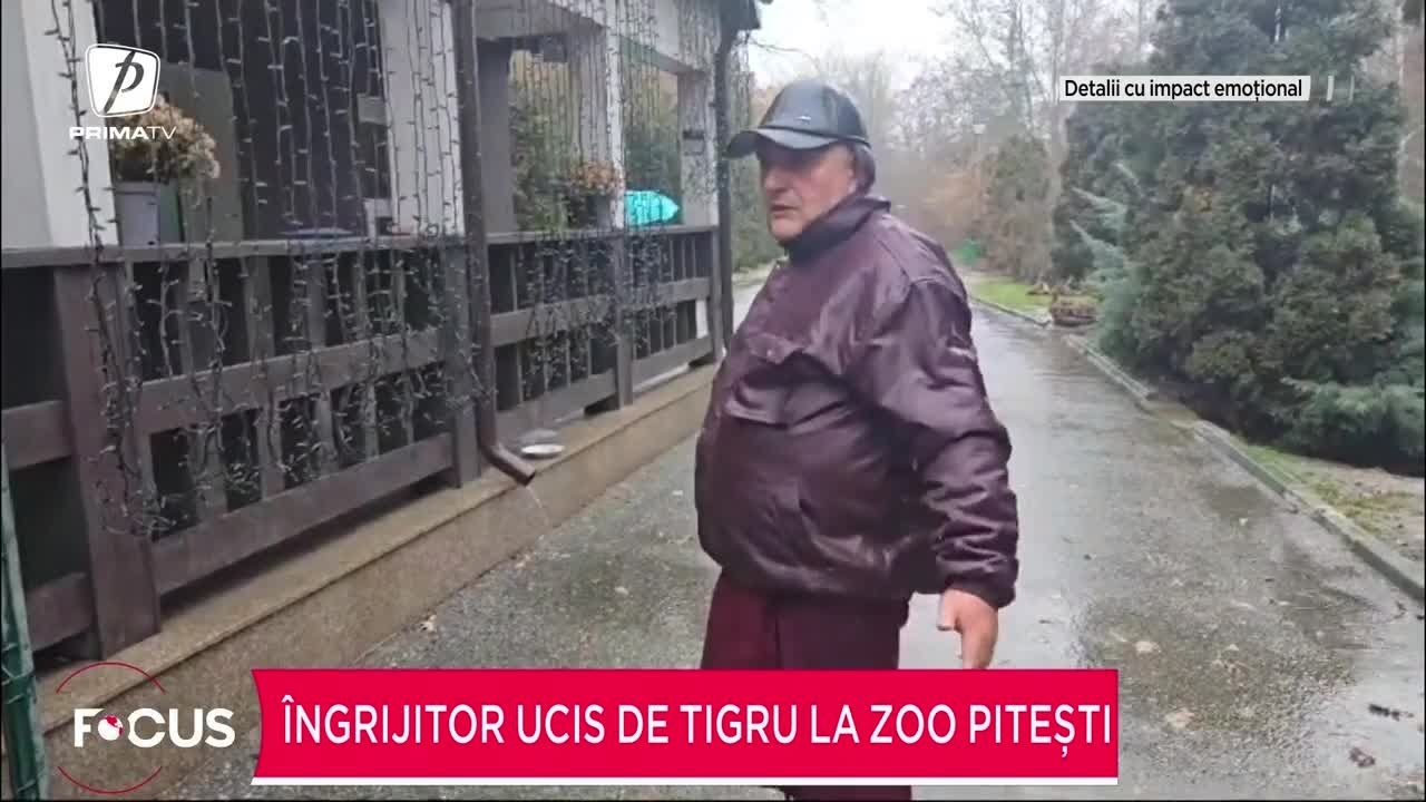 Ucis de tigru în Argeș.