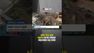 Cəfər Xəndan Küçəsində Ağac Yola Aşıb