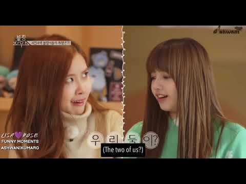#tom & #jerry ft. #rosé and #lisa! comment who is #jerry 😂😂