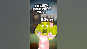 Day 15 of placing 1 block everyday